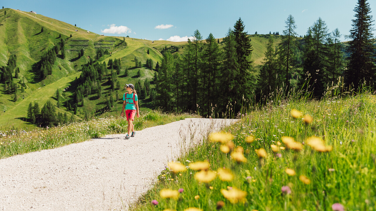 Escursione a piedi Arabba estate