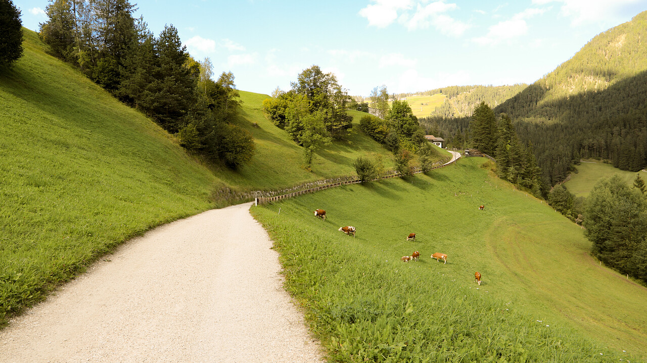 Estate sentiero San Martino in Badia