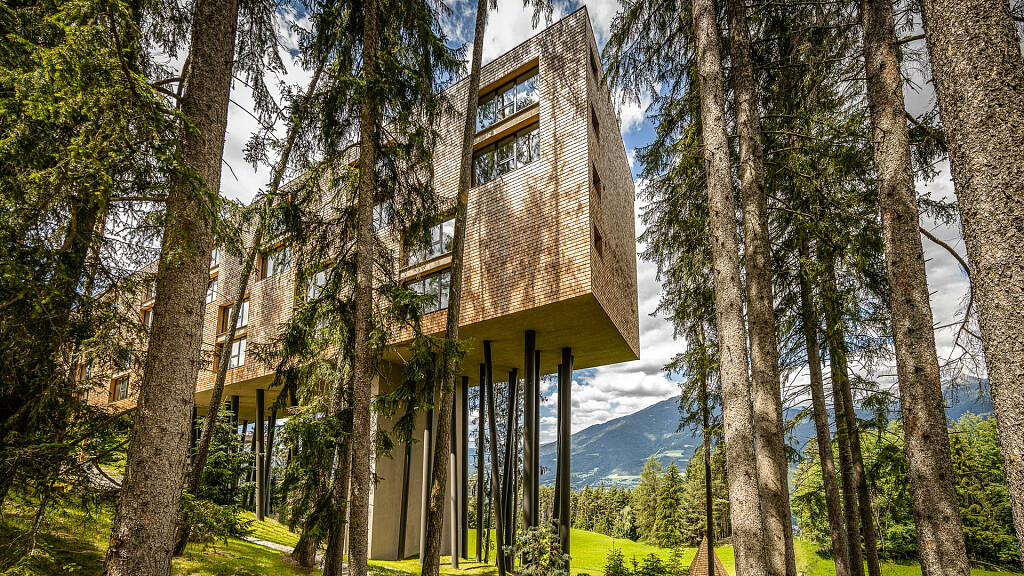 My Arbor – Dolomites