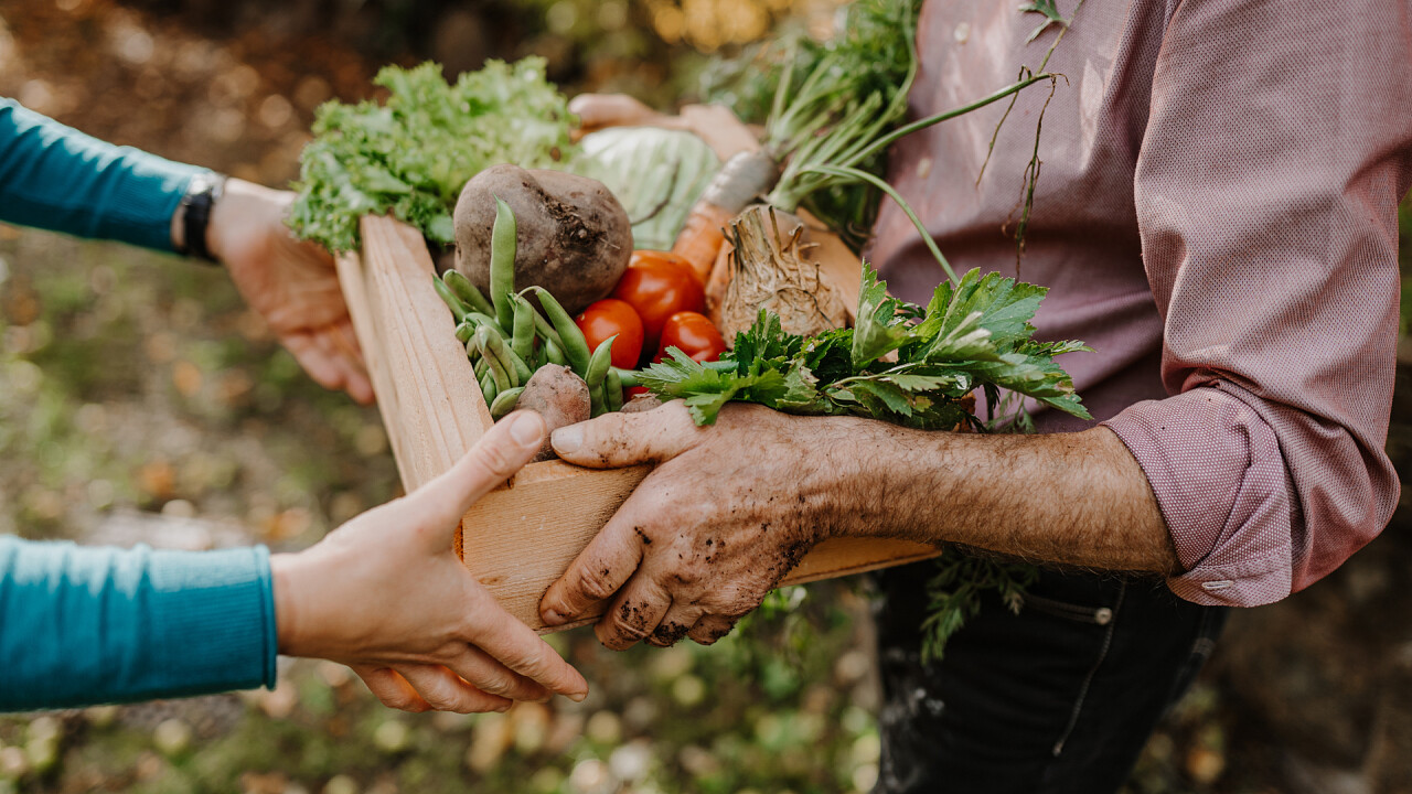 cassetta verdure orto Hotel Berghaus Rosengarten