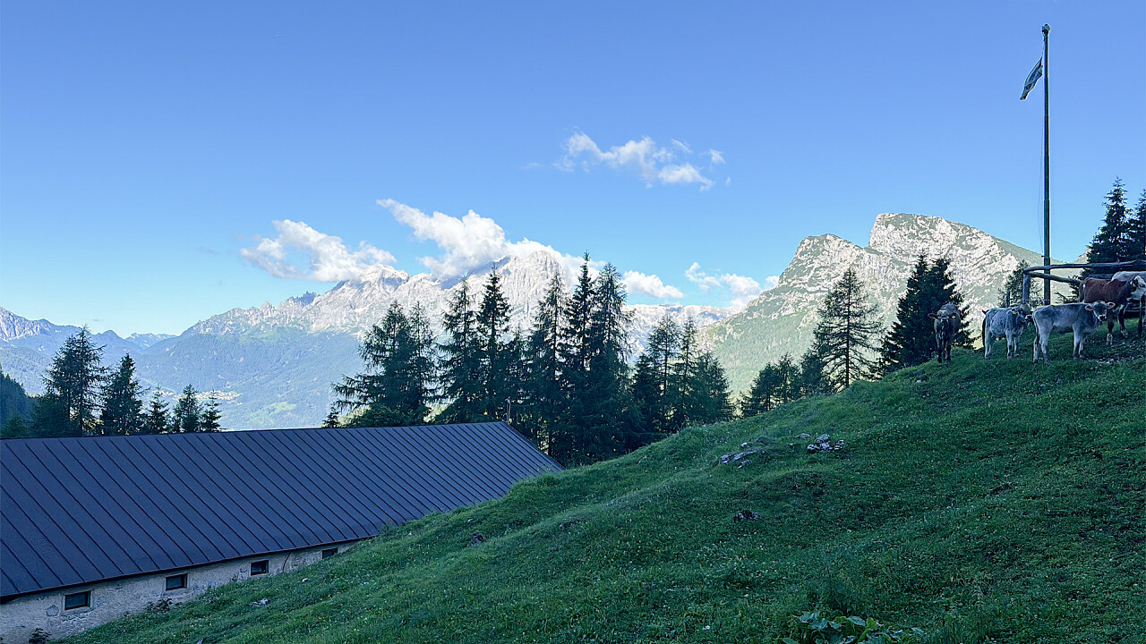 Esterno Malga in estate - Malga Calleda