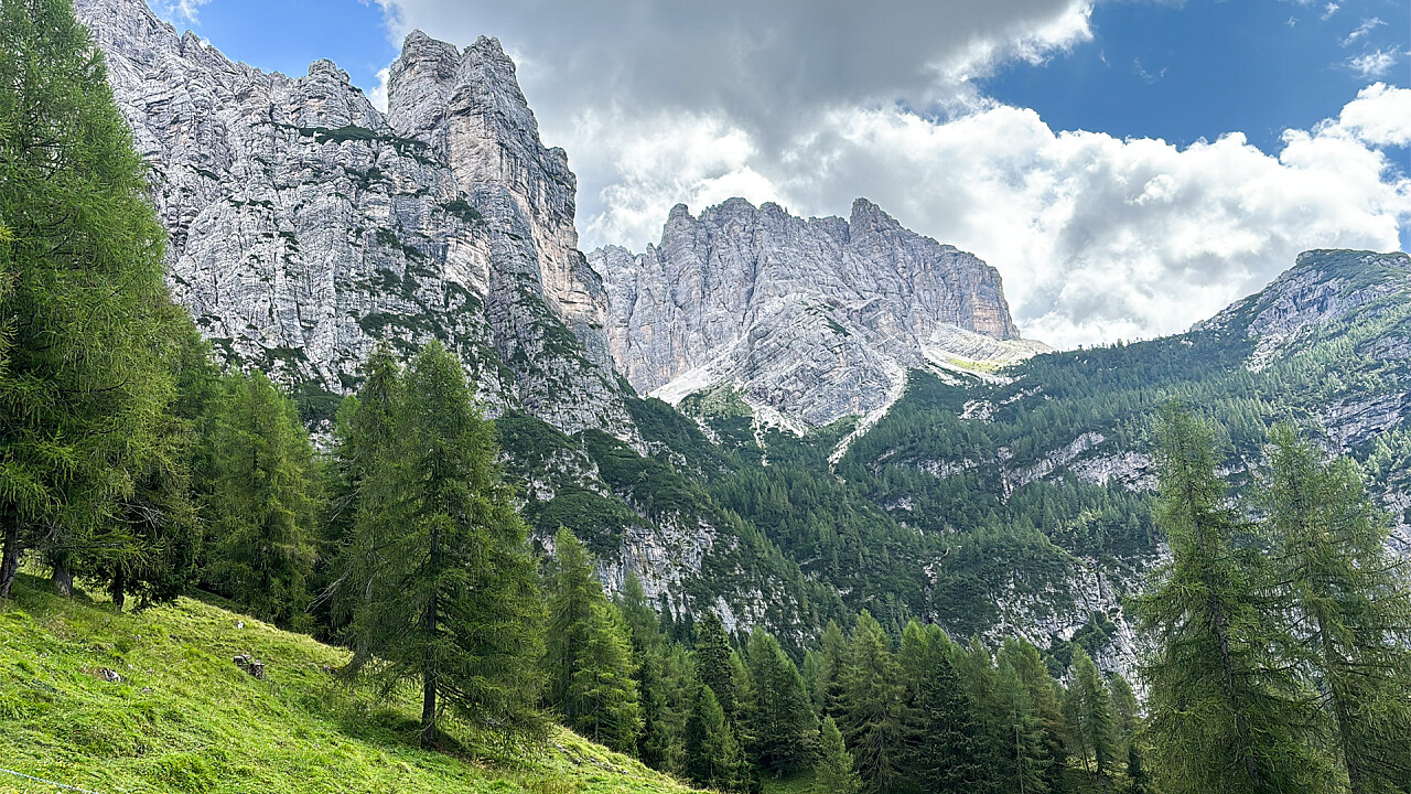 Panorama montagne estate- Malga Calleda