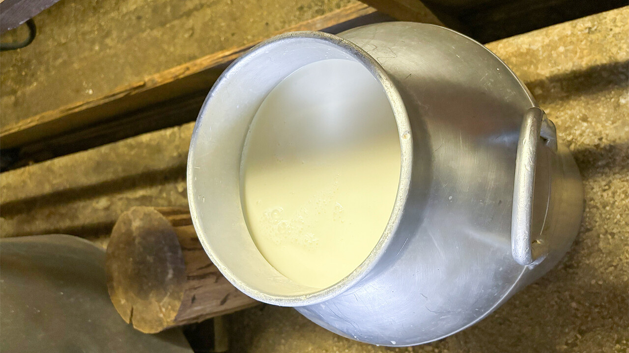 Prodotti Malga - Malga Calleda