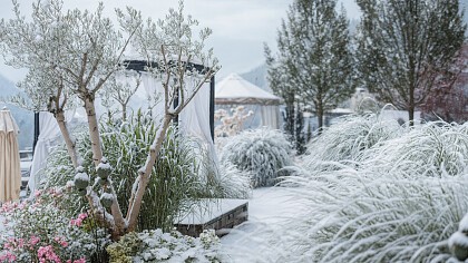 Chalet Bosco 01 -  Hotel | Chalet Das Alpenschlössel