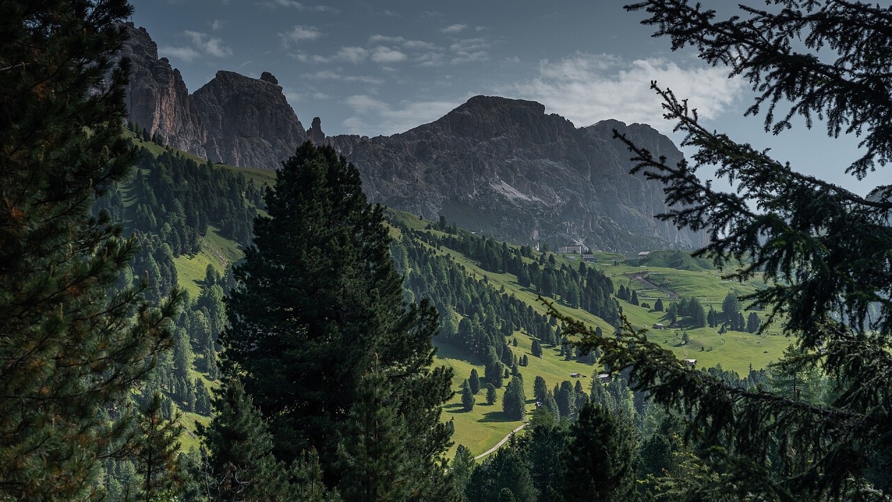 panorama bosco Soleil - Alpine Lifestyle Hotel