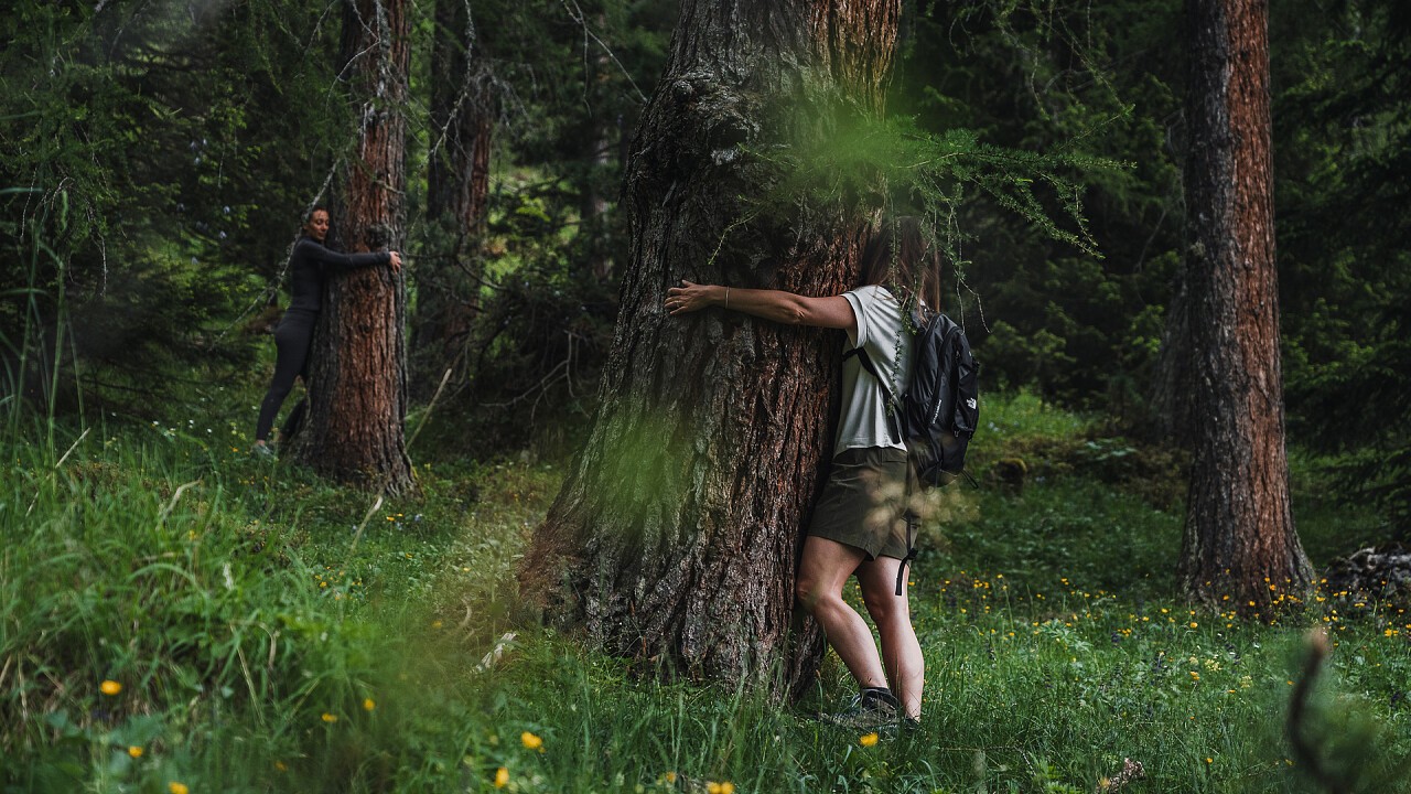 attività forest bathing Soleil - Alpine Lifestyle Hotel