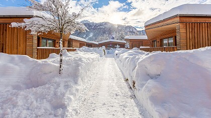 Camping Olympia - cover