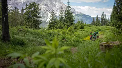 hotel-laurin-dobbiaco-camera-doppia-alpina-gy-01-wisthaler