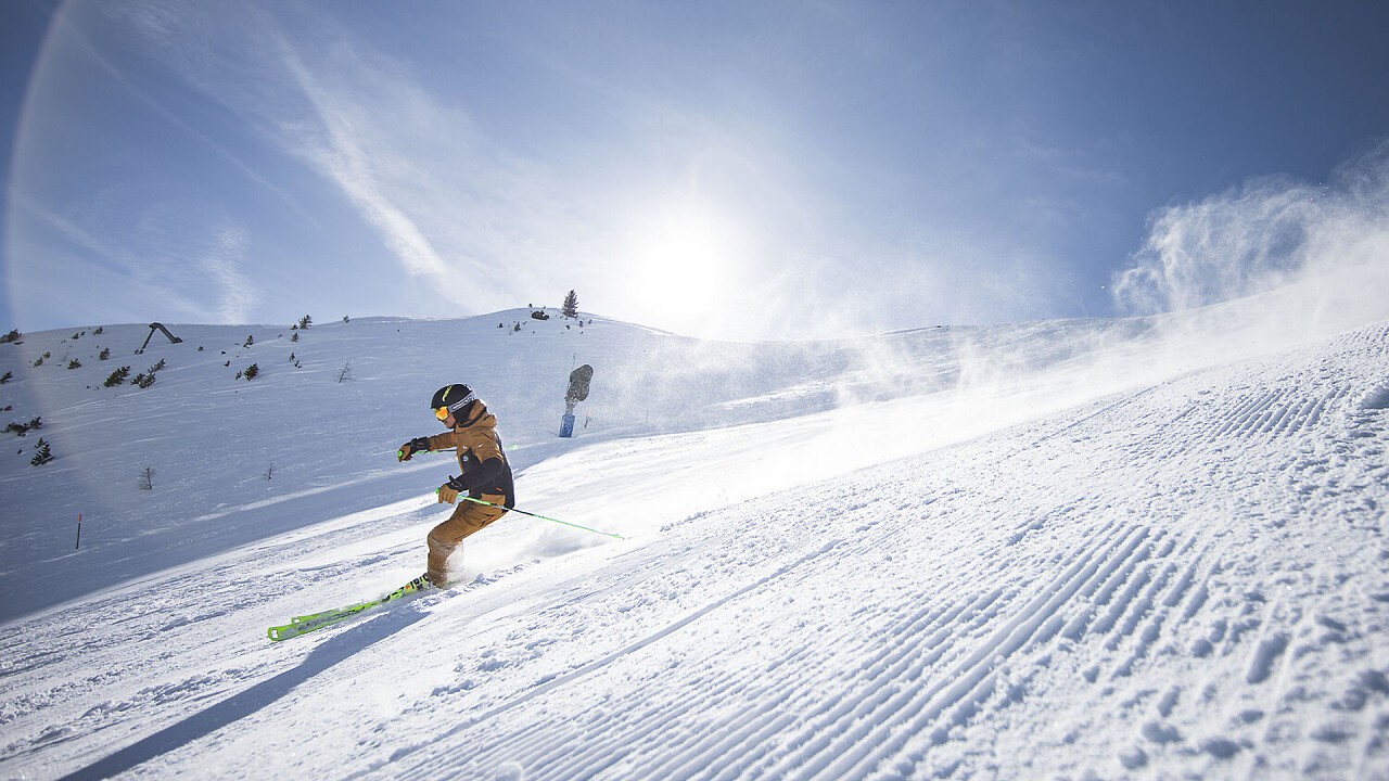 skier - Fronza Hotel