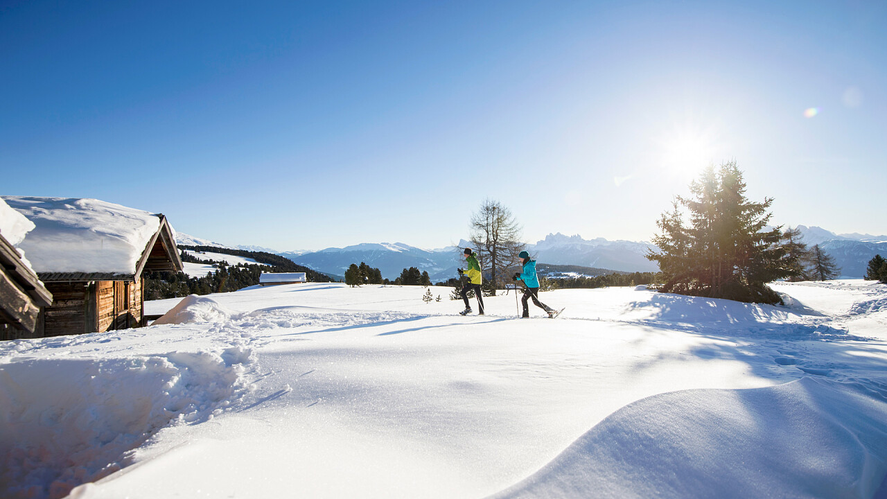 Paesaggio invernale - Granpanorama Hotel StephansHof