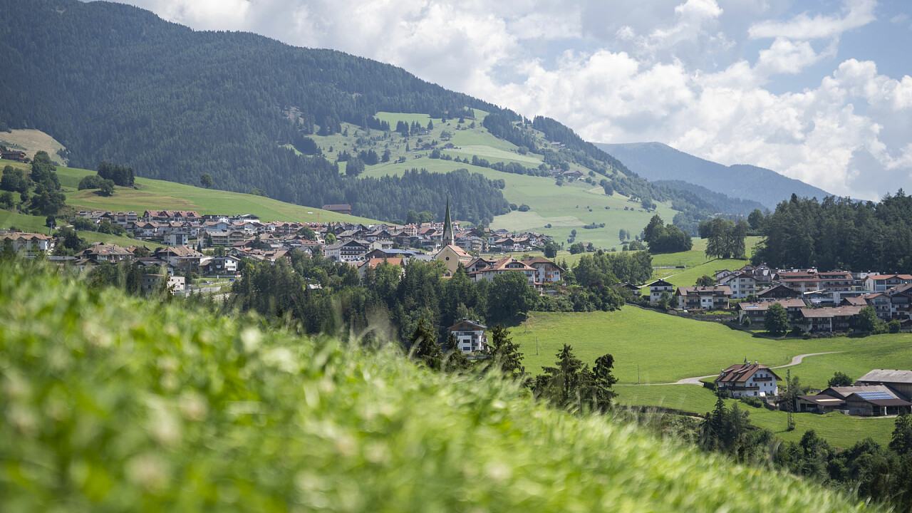 Esterno dintorni Terento Hotel Moserhof