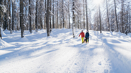 Anterivo winter landscape - Hotel Langeshof