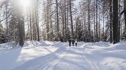 Anterivo winter landscape - Hotel Langeshof