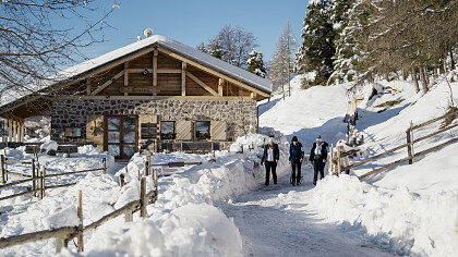 Anterivo winter landscape - Hotel Langeshof