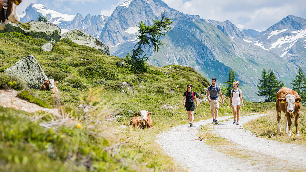 Summer Active Wochen