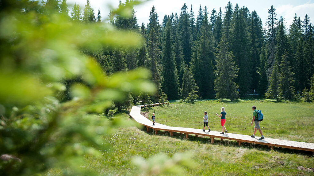 Family time out in the Ratsching mountains