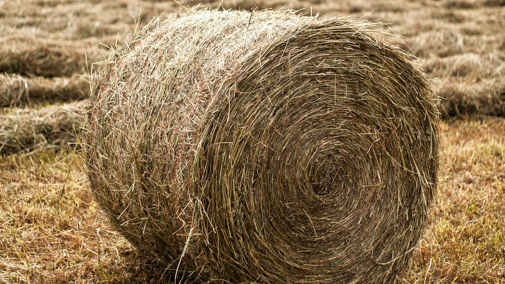 ‘Mountain hay special": Mow mountain hay and experience hay harvesting