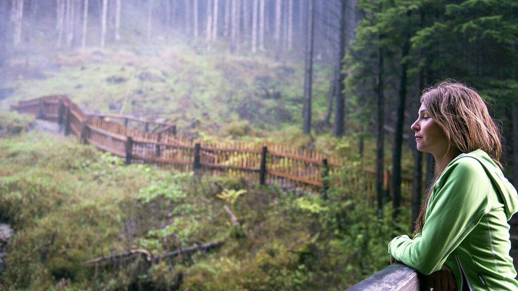 Autumn special - Short midweek stay