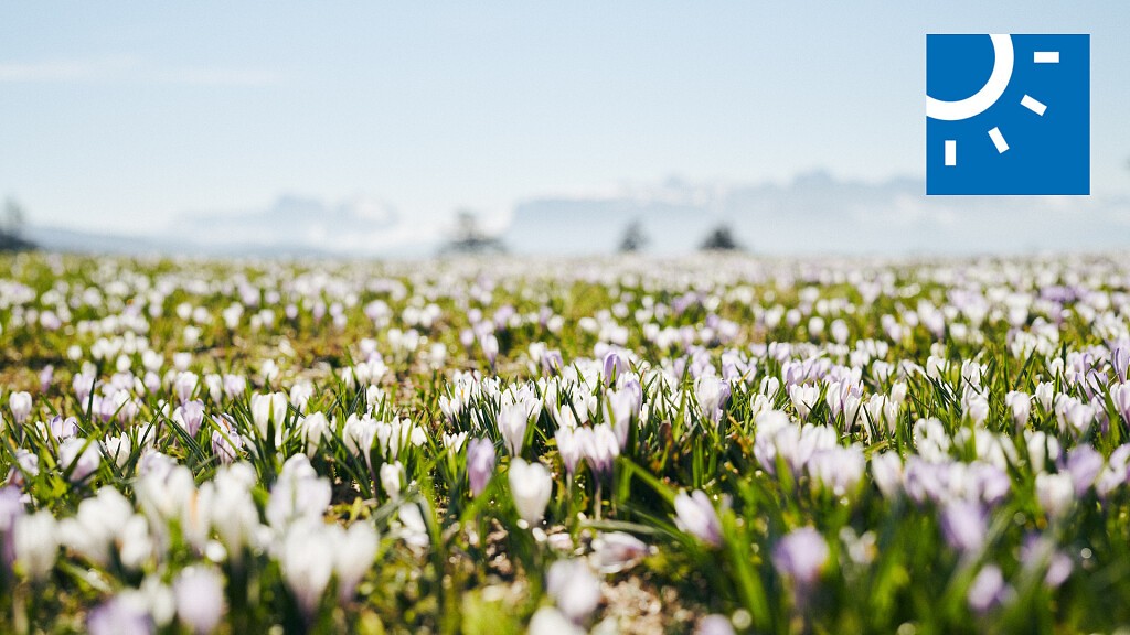 DOLOMITI SPRINGDAYS L 7=6
