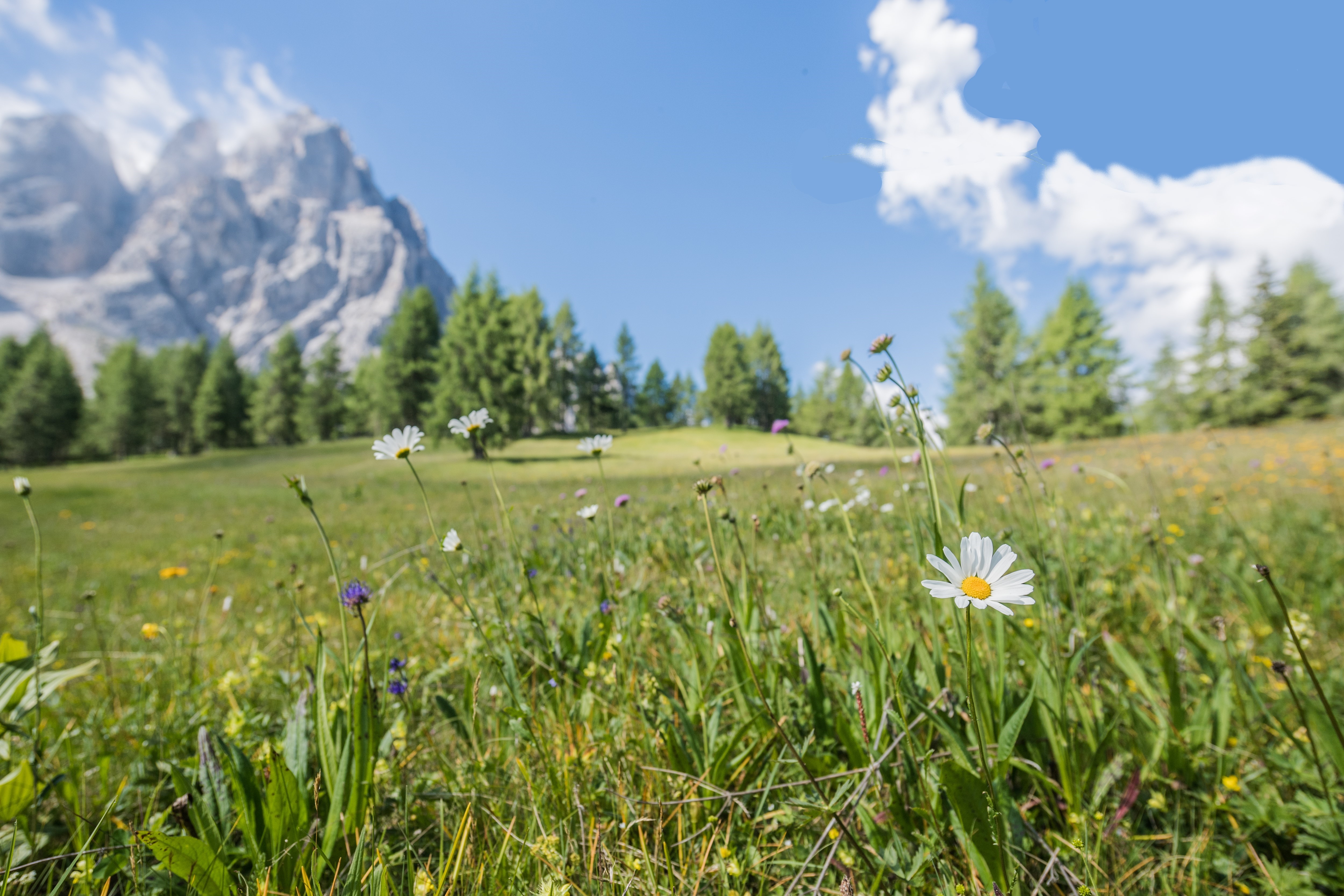 Entdecken & Genießen - 7 Tage
