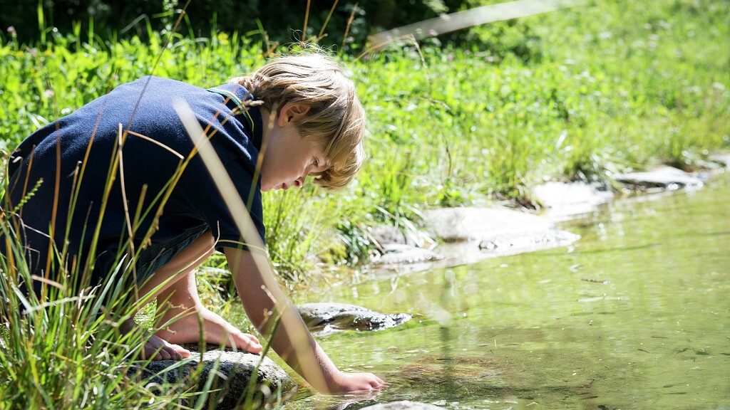 Family mountain experience