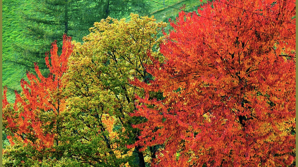 7=6 - Settimane escursionistiche in autunno