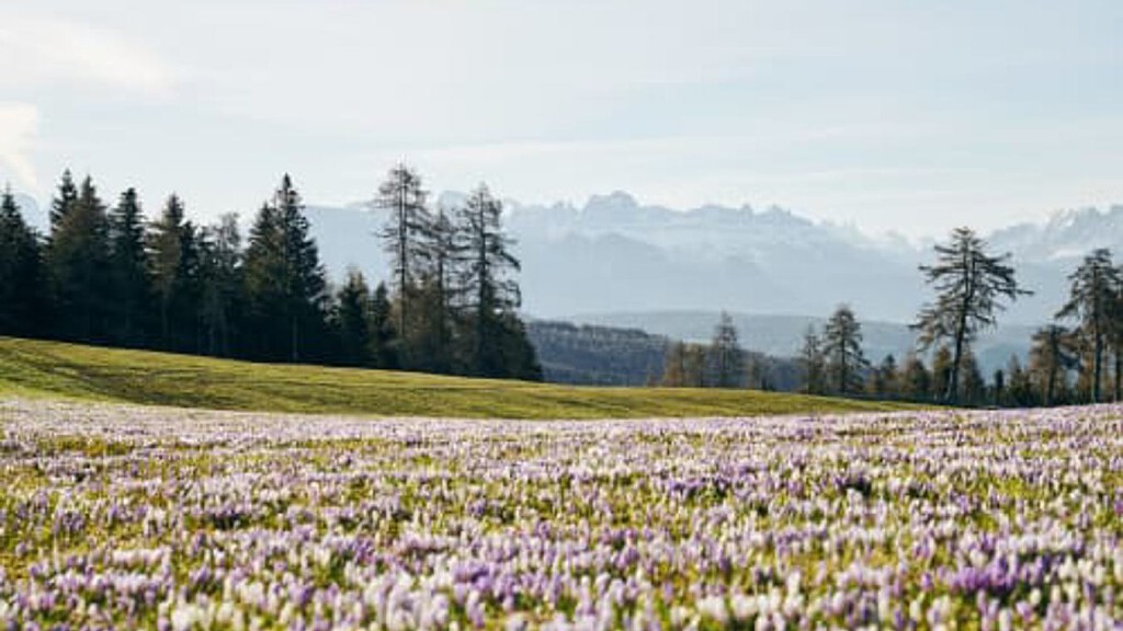 Easter in and around Bolzano