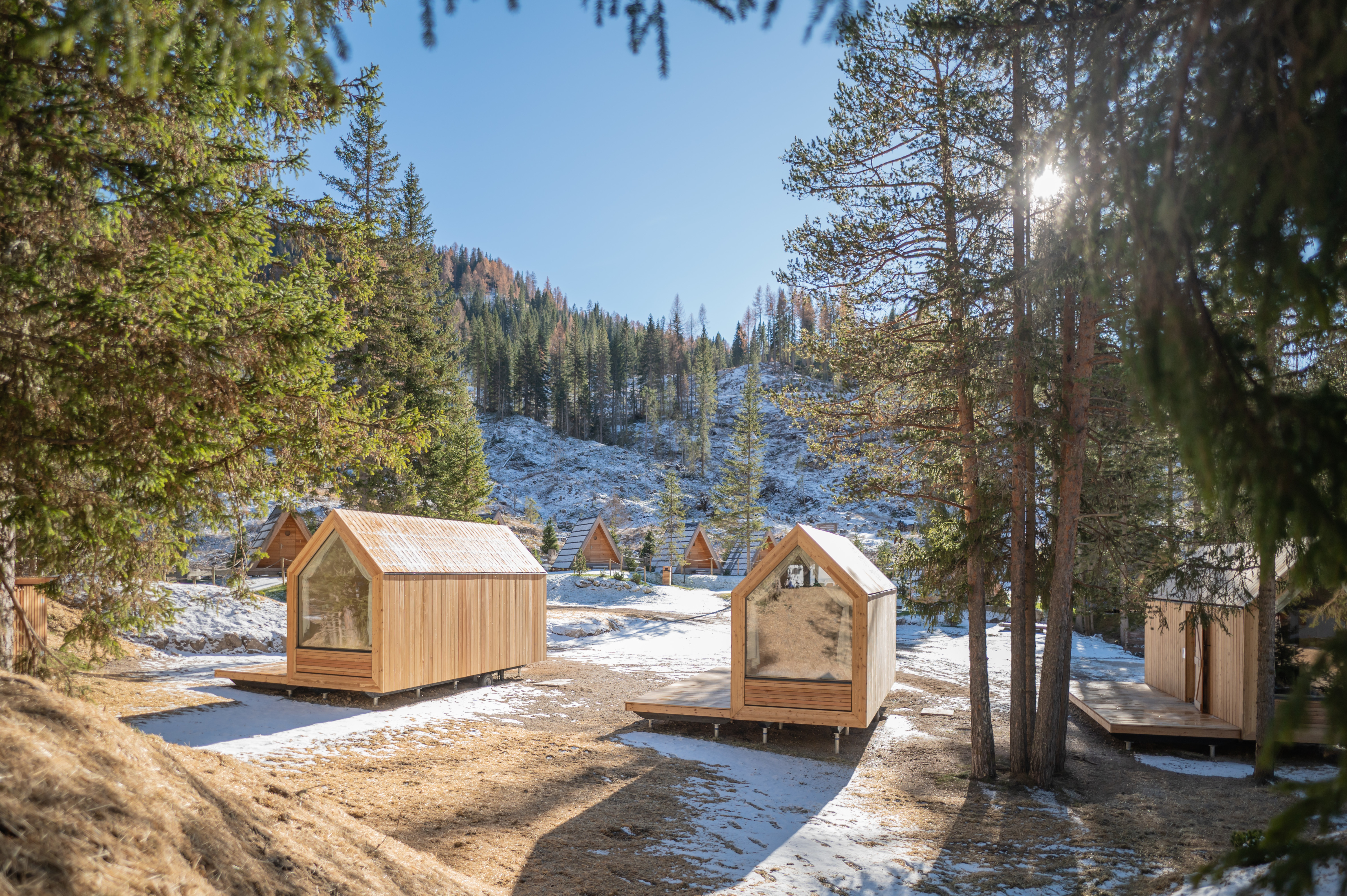 Early Bird Winter Forest Cabin