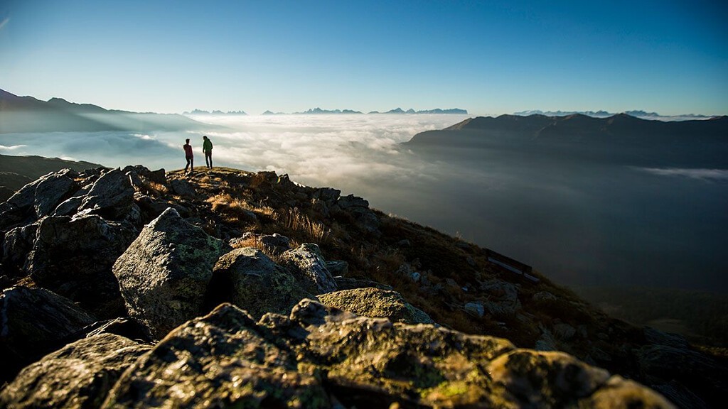 6=5 Nature Delights in May and June