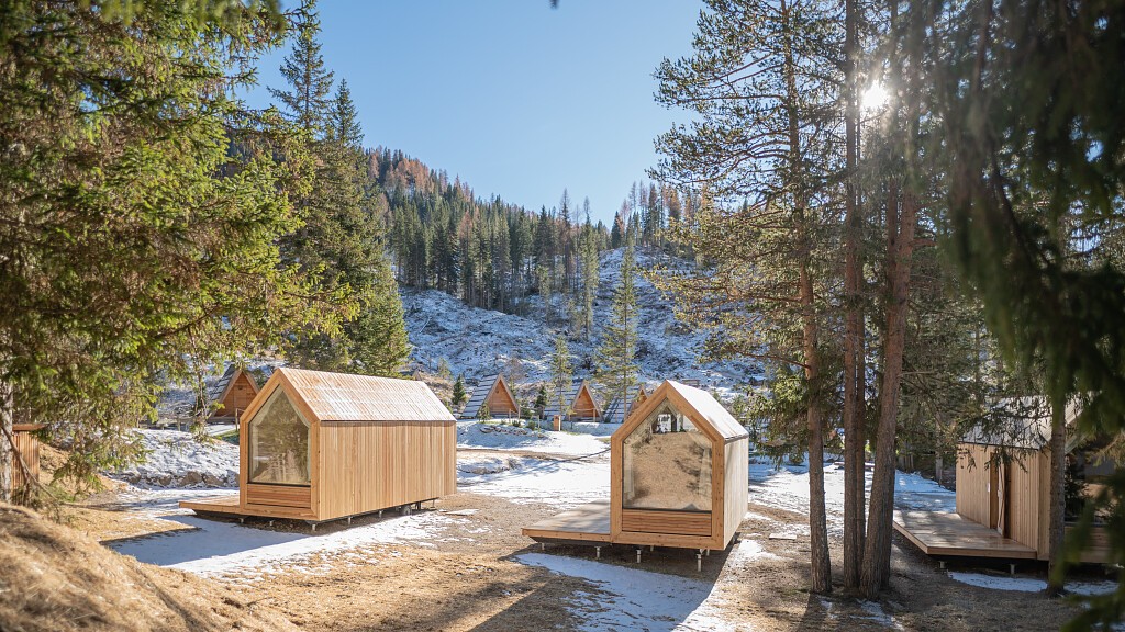 Early Bird Inverno Forest Cabin