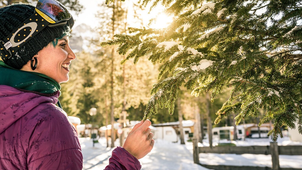 Early Bird Rolling Home Winter