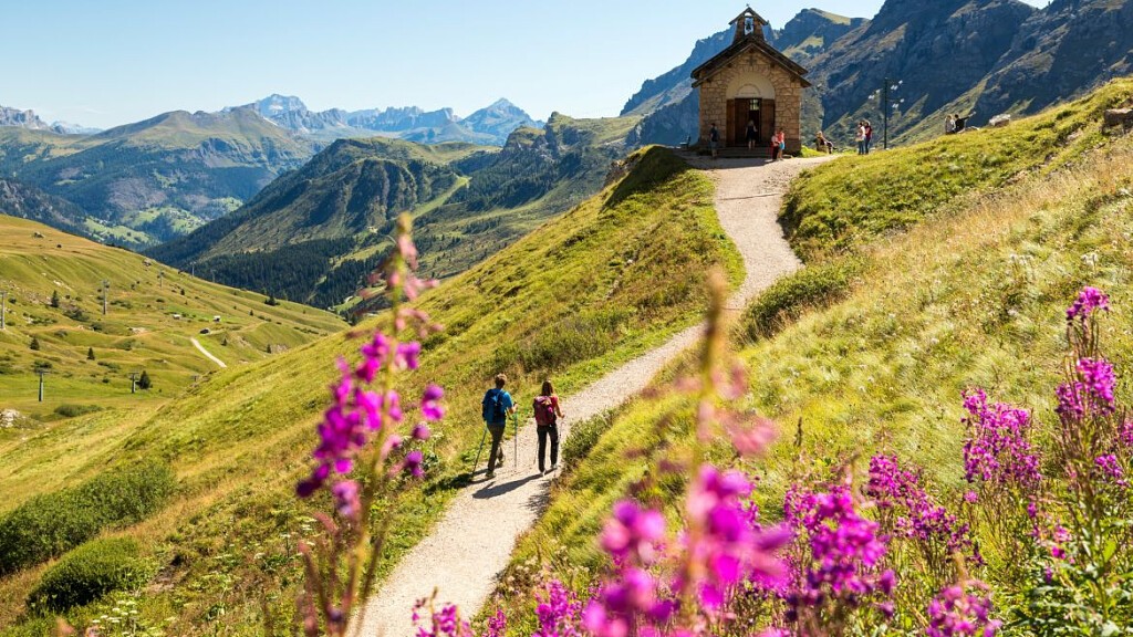 La meraviglia dei prati in fiore