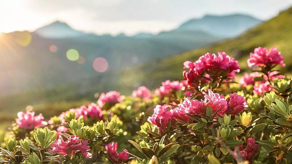 La Sua splendida vacanza primaverile nel cuore delle Dolomiti del Trentino Alto Adige 2026