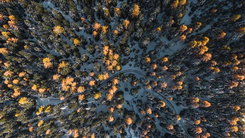 Bad Moos – aperti anche a novembre