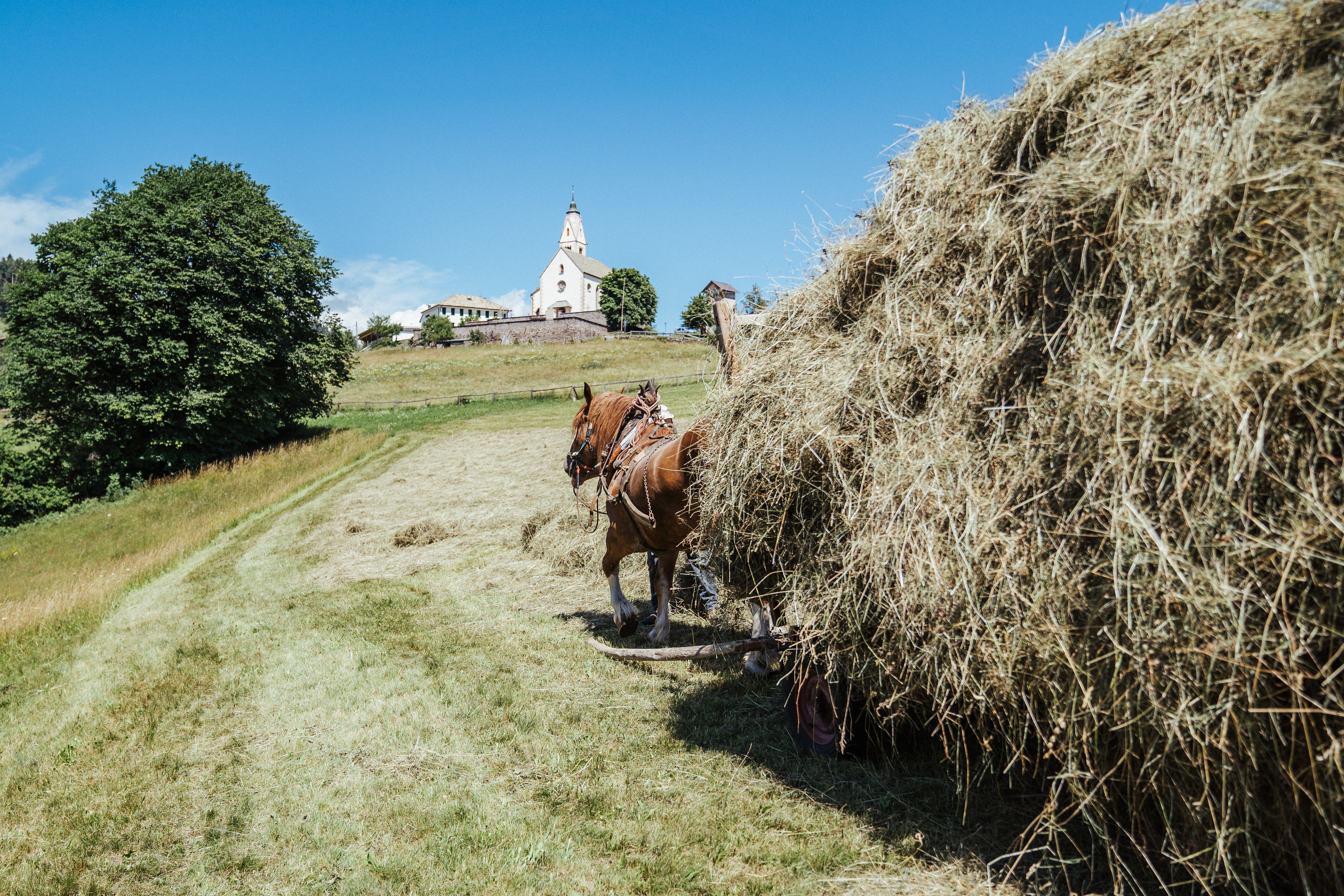Incanto d'estate al Langeshof: Escursioni, Relax & Piacere