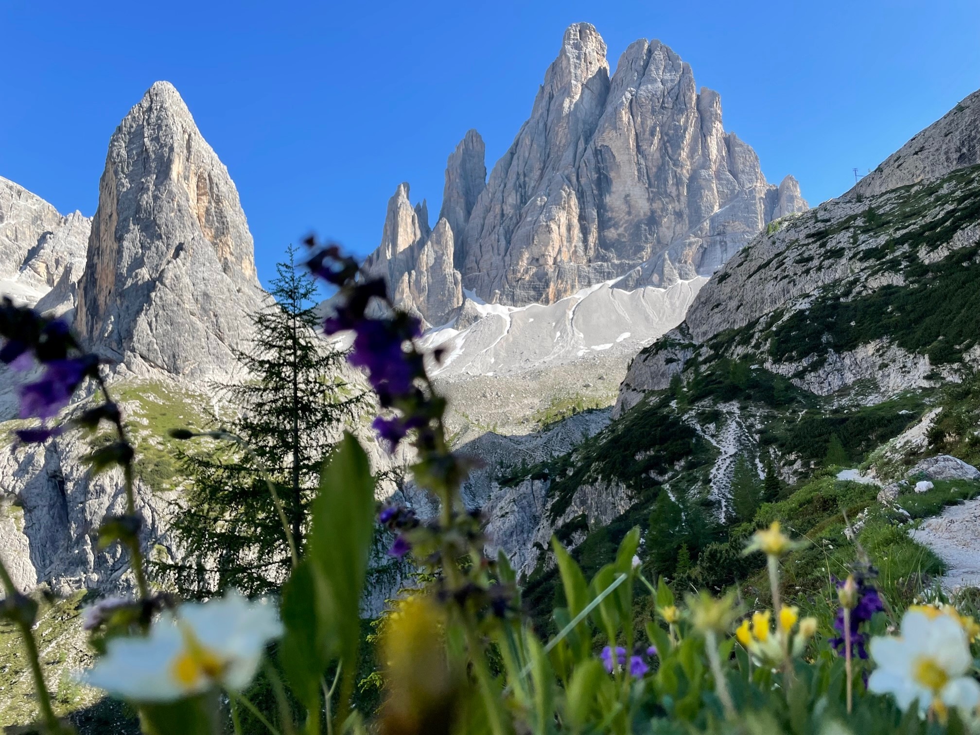 Pacchetto vacanza senza auto