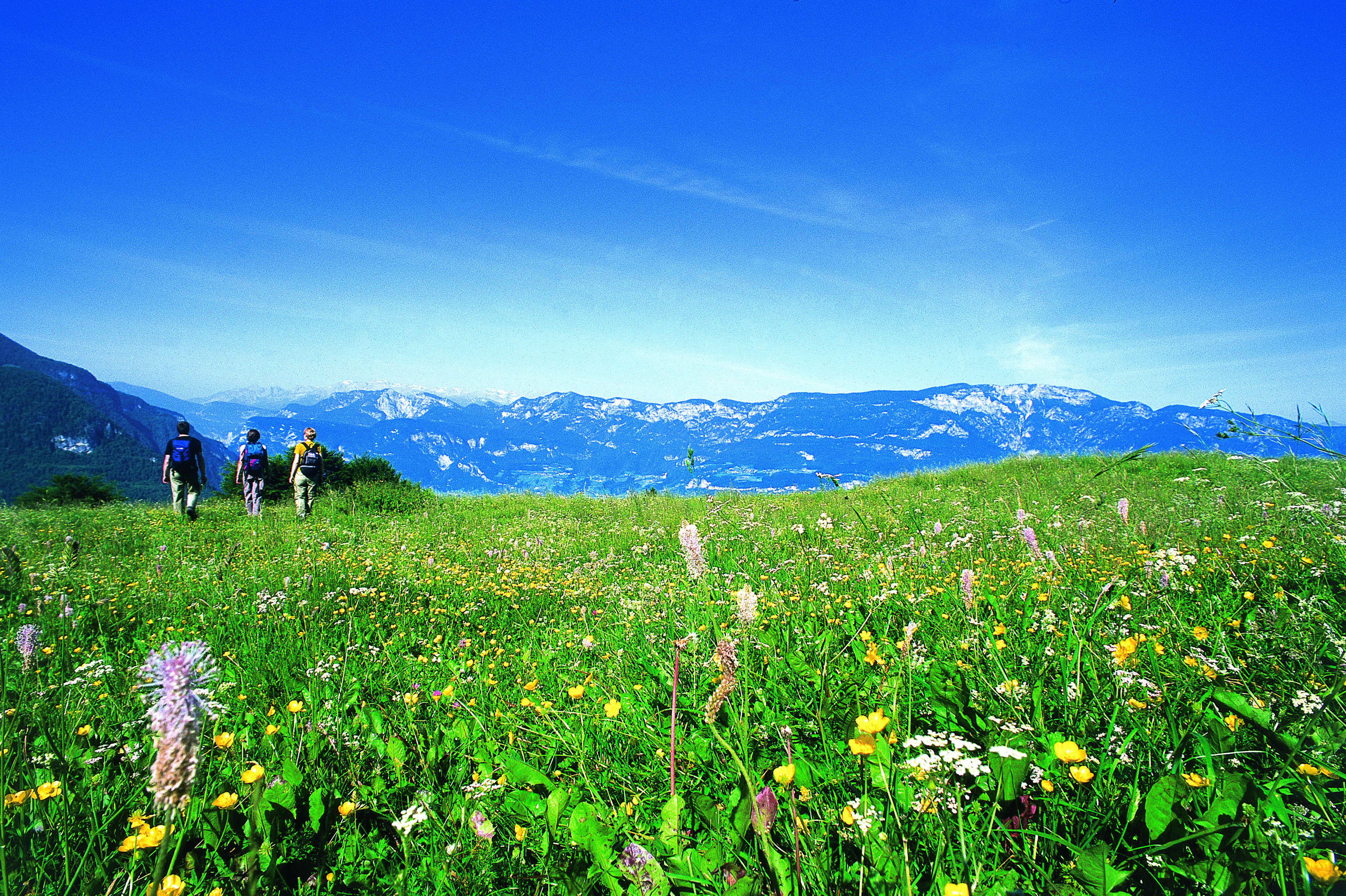 7=6 - Start in den Frühling