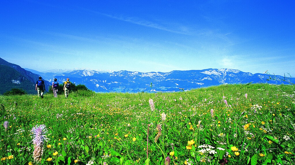 7=6 - Settimane di primavera