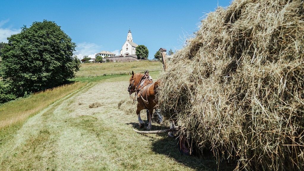 Sommerzauber im Langeshof: Wandern, Erholen & Genießen