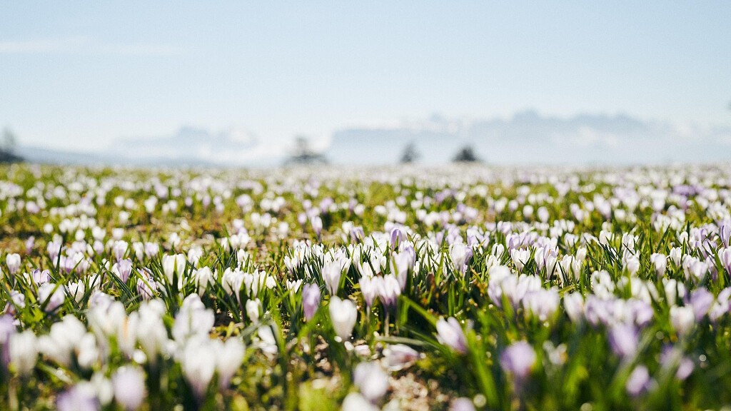 STAY & ENJOY SPRING