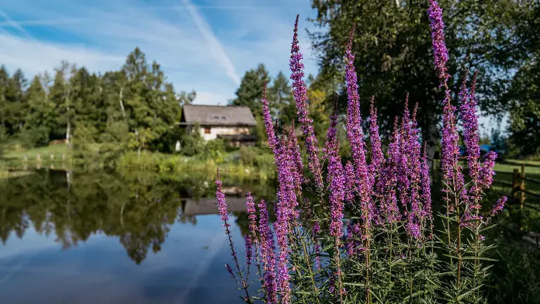 Early summer is calling – time for a hike!