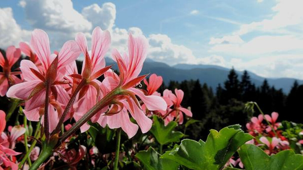 Breve vacanza in primavera 5=4