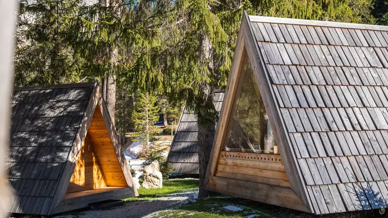 A -Frame Cabin forest view