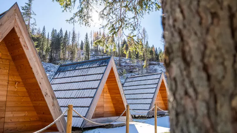 A -Frame Cabin forest view