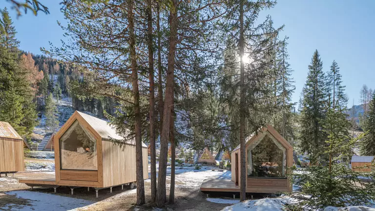 Forest Cabin