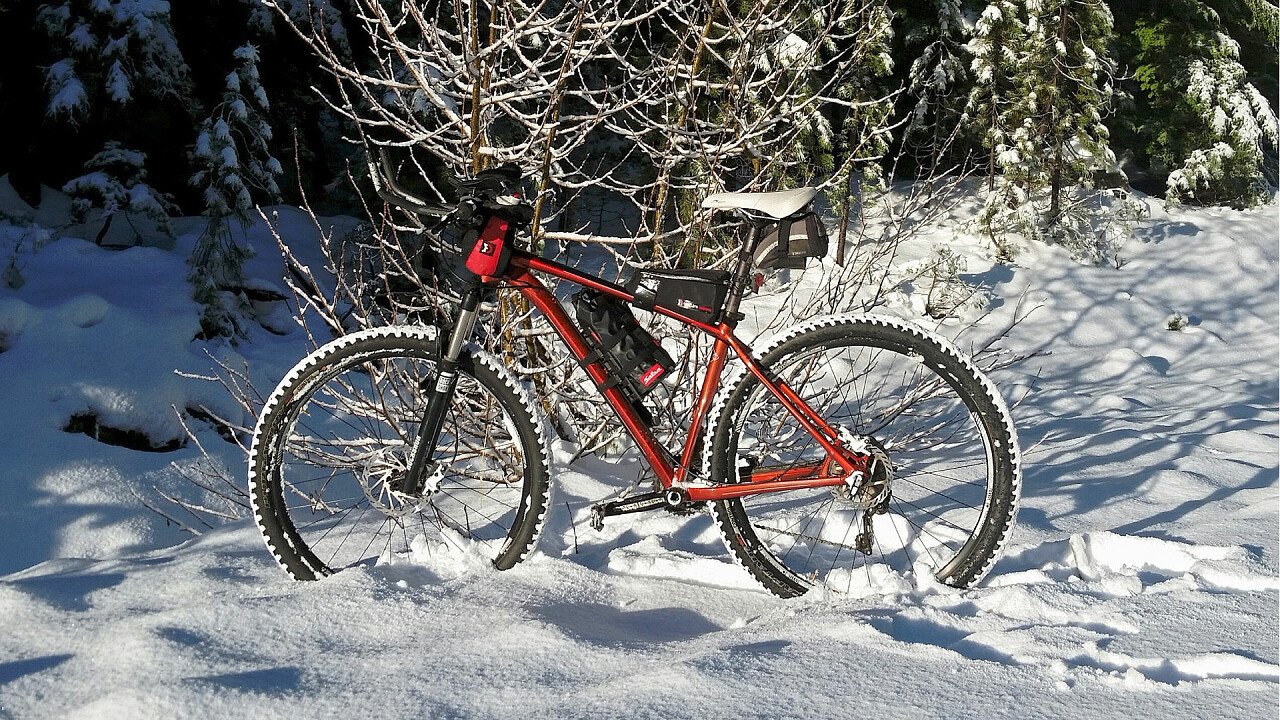 Bici sulla neve nel bosco