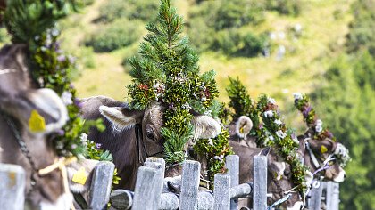 i_krampus_tradizioni_locali_shutterstock