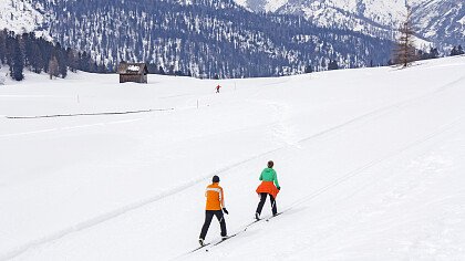 pista_sci_di_fondo_dolomiti_shutterstock