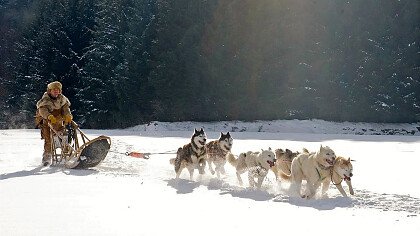 corsa_neve_sleddog_shutterstock