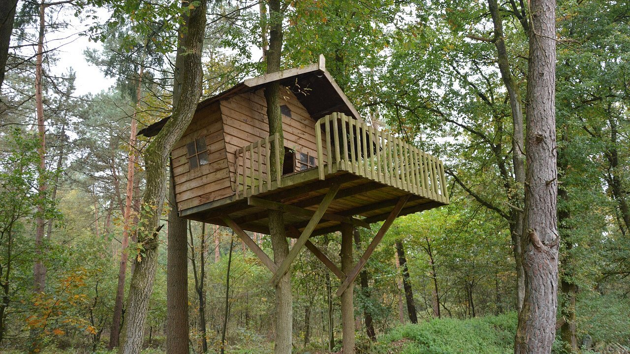 casa_sull_albero_architettura_pixabay_gerdahuiskamp